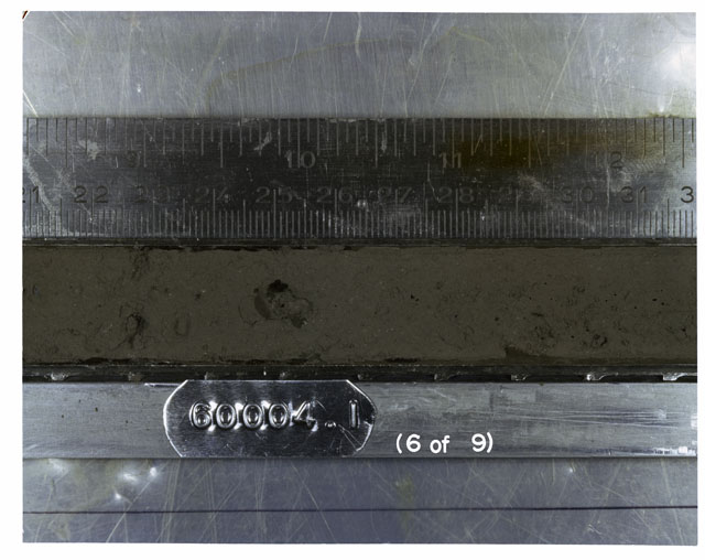 Color photograph of Apollo 16 Sample(s) 60004,1; 6 of 9 Processing photograph displaying Core Tube at 21-31.5 cm depth.