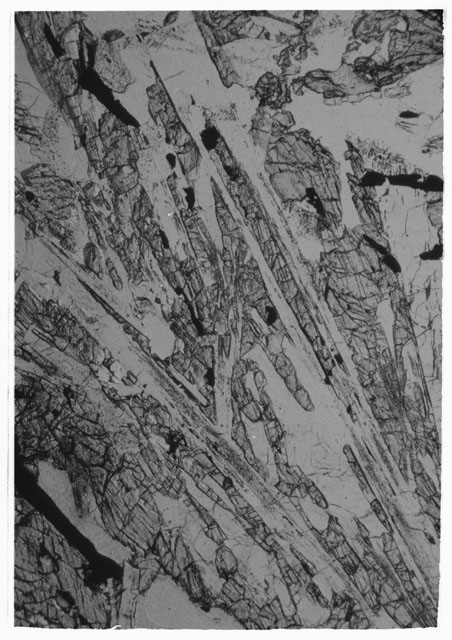 Black and white Thin Section photograph of Apollo 12 Sample(s) 12021 using cross Nichols light.