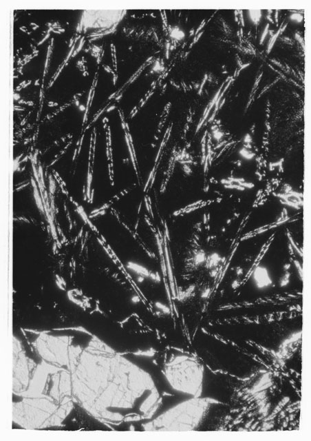 Black and white Thin Section photograph of Apollo 12 Sample(s) 12009.