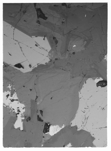 Thin Section photograph of Apollo 11 sample(s) 10003,49