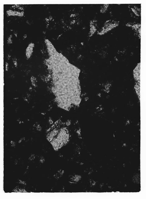 Black and white photograph of Apollo 11 Sample(s) 10019,33; Thin Section photograph using reflected light.