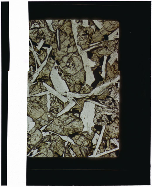 Color Thin Section photograph of Apollo 12 Sample(s) 12051 using transmitted light.