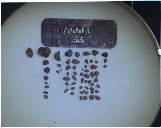 Color photograph of Apollo 17 Sample(s) 70004,66; Processing photograph displaying a group of >1 MM Core Fines found at 181.7-182.2 cm depth from surface.