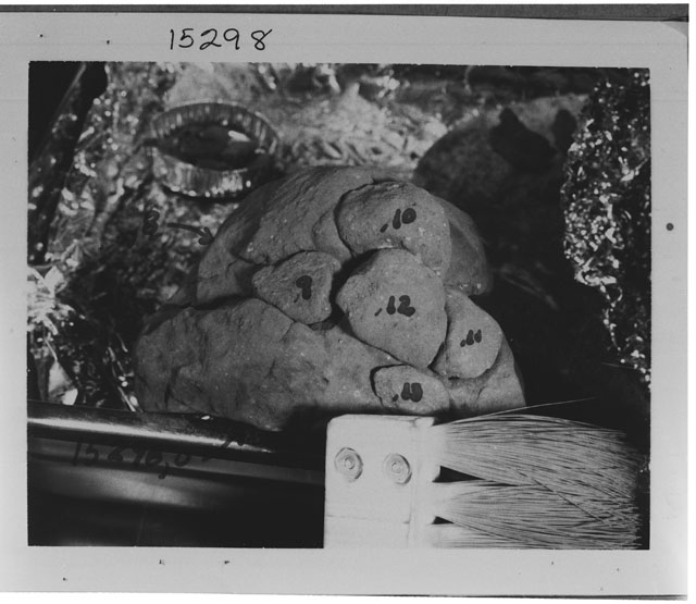 Processing Photograph of Apollo 15 Sample(s) 15298,0,9