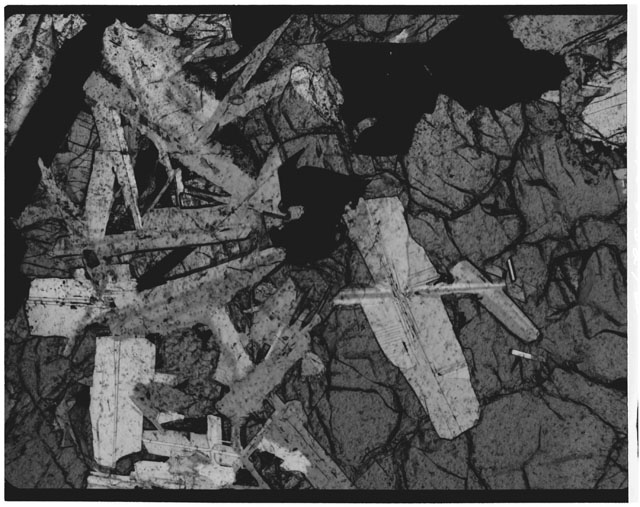 Black and white Thin Section photograph of Apollo 11 Sample(s) 10050,36.