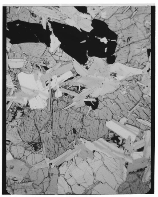 Black and white photograph of Apollo 11 Sample(s) 10058,51; Thin Section photograph using cross nichols light.