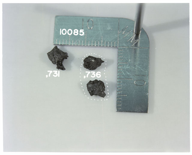 Color photograph of Apollo 11 Sample(s) 10085,731,736; Processing photograph displaying >1 MM fines .