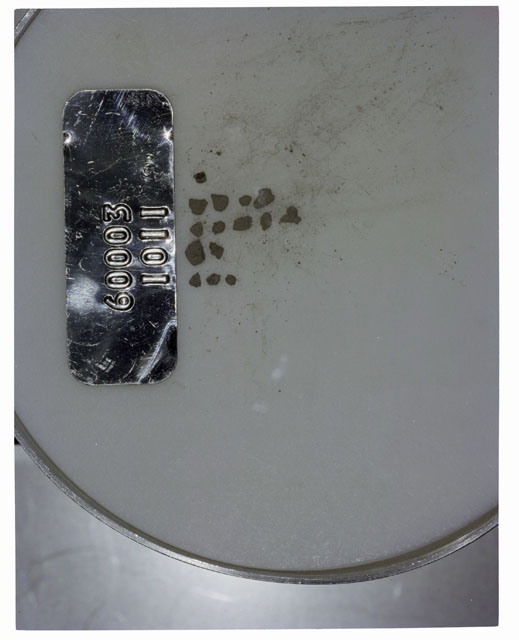 Color photograph of Apollo 16 Core Sample 60003,1011; Processing photograph displaying >1 MM Core Fines .