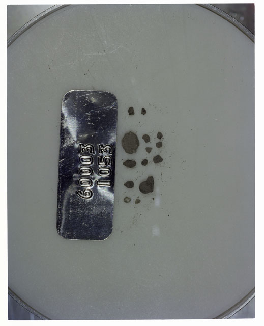 Color photograph of Apollo 16 Core Sample 60003,1053; Processing photograph displaying >1 MM Core Fines .