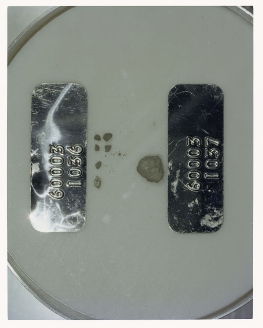Color photograph of Apollo 16 Core Sample 60003,1036,1037; Processing photograph displaying >1 MM Core Fines .