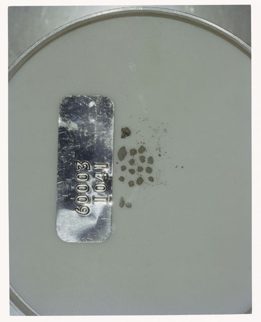 Color photograph of Apollo 16 Core Sample 60003,1041; Processing photograph displaying >1 MM Core Fines .