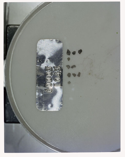 Color photograph of Apollo 16 Core Sample 60003,1043; Processing photograph displaying >1 MM Core Fines .