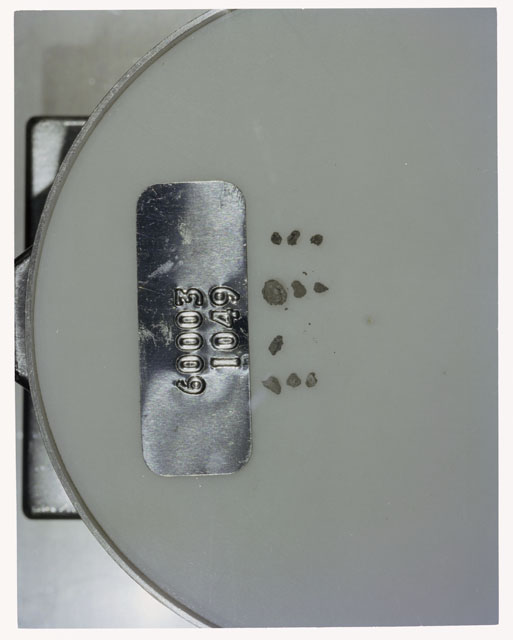 Color photograph of Apollo 16 Core Sample 60003,1049; Processing photograph displaying >1 MM Core Fines .