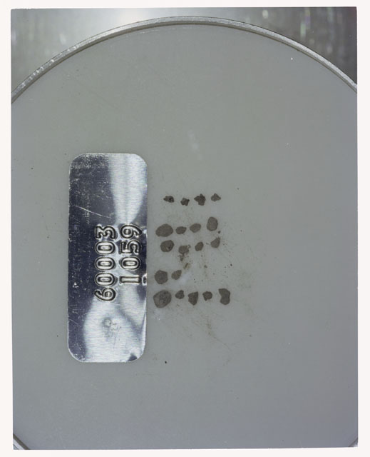 Color photograph of Apollo 16 Core Sample 60003,1059; Processing photograph displaying >1 MM Core Fines .