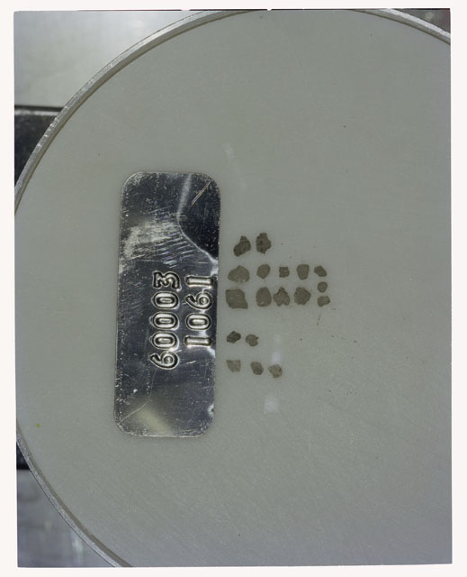 Color photograph of Apollo 16 Core Sample 60003,1061; Processing photograph displaying >1 MM Core Fines .
