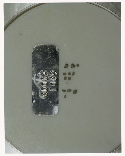 Color photograph of Apollo 16 Core Sample 60003,1069; Processing photograph displaying >1 MM Core Fines .
