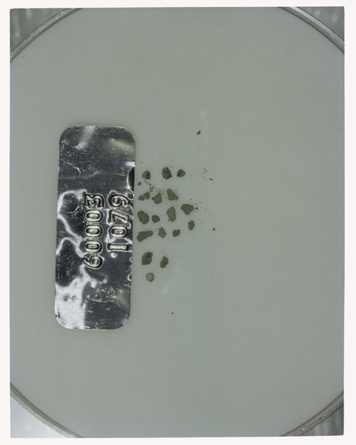 Color photograph of Apollo 16 Core Sample 60003,1079; Processing photograph displaying >1 MM Core Fines .