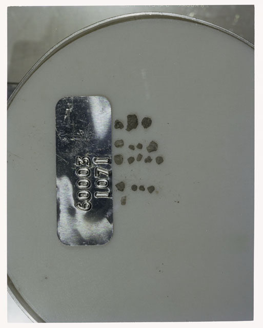 Color photograph of Apollo 16 Core Sample 60003,1071; Processing photograph displaying >1 MM Core Fines .