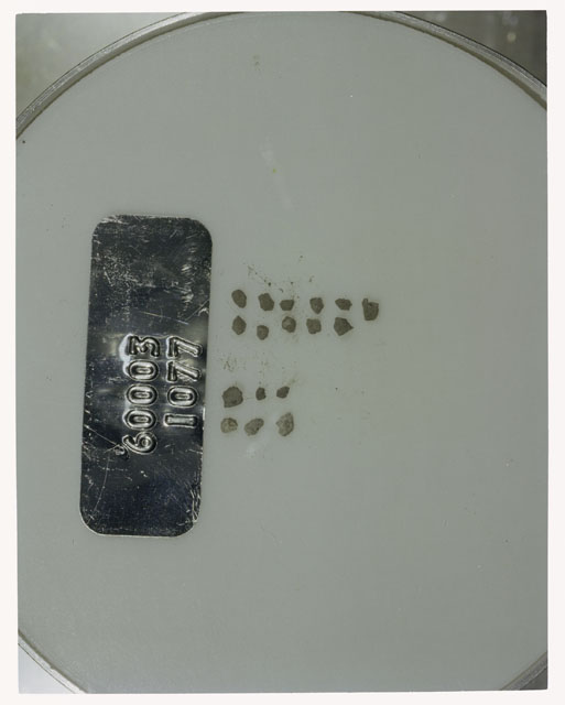 Color photograph of Apollo 16 Core Sample 60003,1077; Processing photograph displaying >1 MM Core Fines .