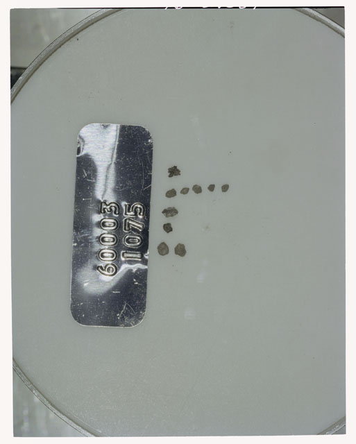 Color photograph of Apollo 16 Core Sample 60003,1075; Processing photograph displaying >1 MM Core Fines .