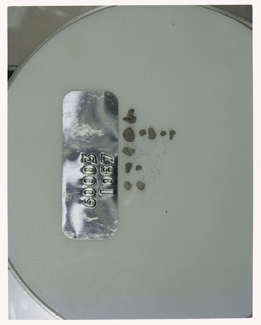 Color photograph of Apollo 16 Core Sample 60003,1087; Processing photograph displaying >1 MM Core Fines .