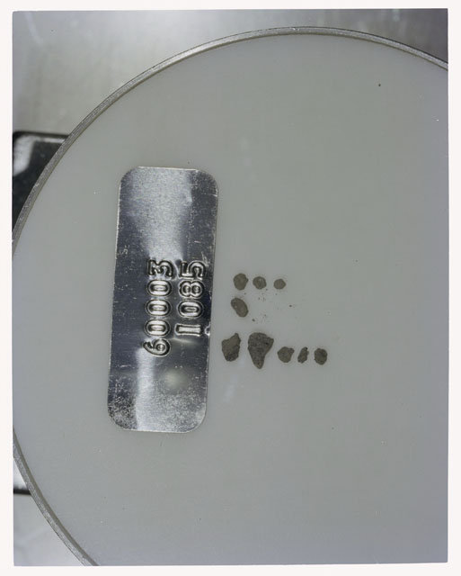Color photograph of Apollo 16 Core Sample 60003,1085; Processing photograph displaying >1 MM Core Fines .