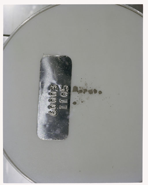 Color photograph of Apollo 16 Core Sample 60003,1105; Processing photograph displaying >1 MM Core Fines .