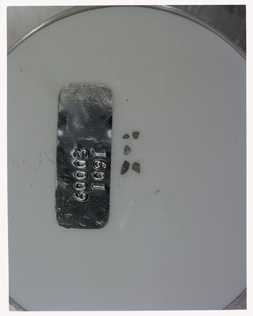 Color photograph of Apollo 16 Core Sample 60003,1091; Processing photograph displaying >1 MM Core Fines .