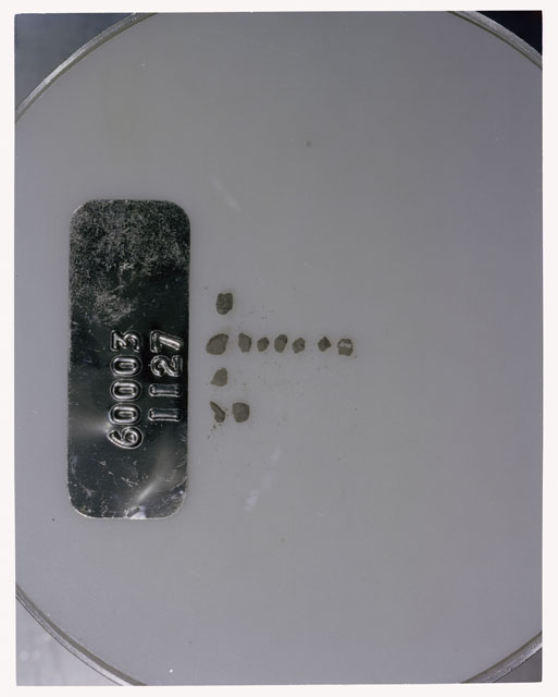 Color photograph of Apollo 16 Core Sample 60003,1127; Processing photograph displaying >1 MM Core Fines .