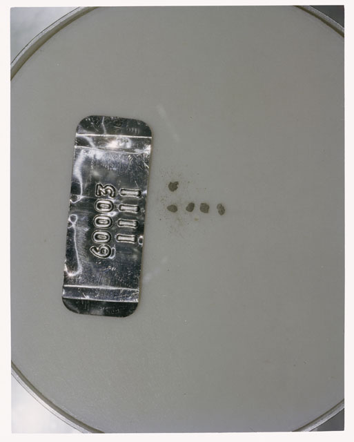 Color photograph of Apollo 16 Core Sample 60003,1111; Processing photograph displaying >1 MM Core Fines .