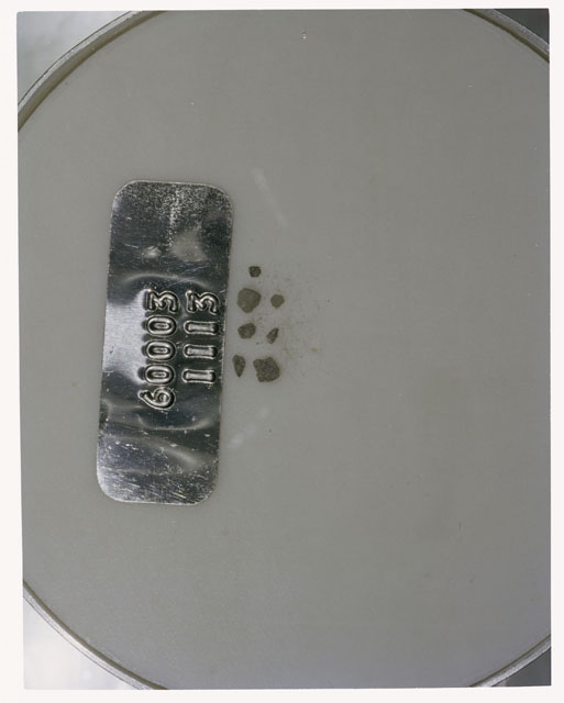 Color photograph of Apollo 16 Core Sample 60003,1113; Processing photograph displaying >1 MM Core Fines .