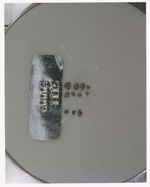 Color photograph of Apollo 16 Core Sample 60003,1115; Processing photograph displaying >1 MM Core Fines .