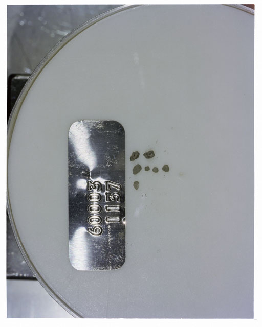 Color photograph of Apollo 16 Core Sample 60003,1137; Processing photograph displaying >1 MM Core Fines .