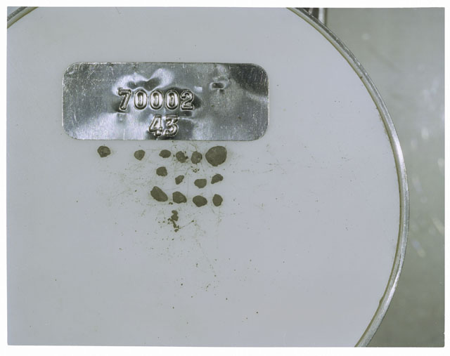 Color photograph of Apollo 17 Sample(s) 70002,43; Processing photograph displaying a group of >1 MM Core Fines.
