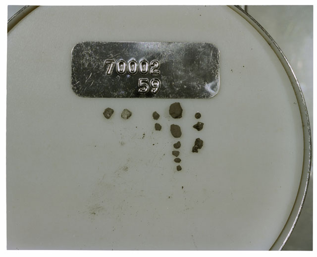 Color photograph of Apollo 17 Sample(s) 70002,59; Processing photograph displaying a group of >1 MM Core Fines.