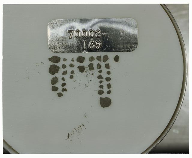 Color photograph of Apollo 17 Sample(s) 70002,169; Processing photograph displaying a group of >1 MM Core Fines.