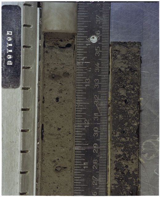 Color photograph of Apollo 17 Sample(s) 70002,179,178; Processing photograph displaying Core with peel at 26-36 cm depth.