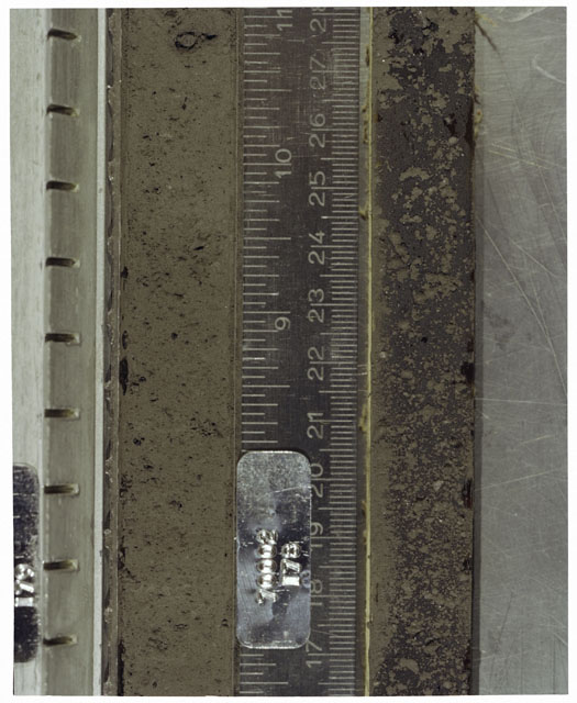 Color photograph of Apollo 17 Sample(s) 70002,179,178; Processing photograph displaying Core with peel at 16.5-28 cm depth.