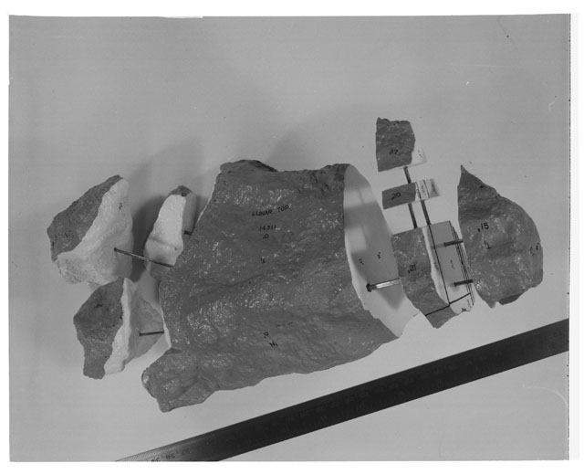 Black and white Processing photograph of Apollo 14 Sample(s) 14311,0 Model displaying the proposed cutting plan.