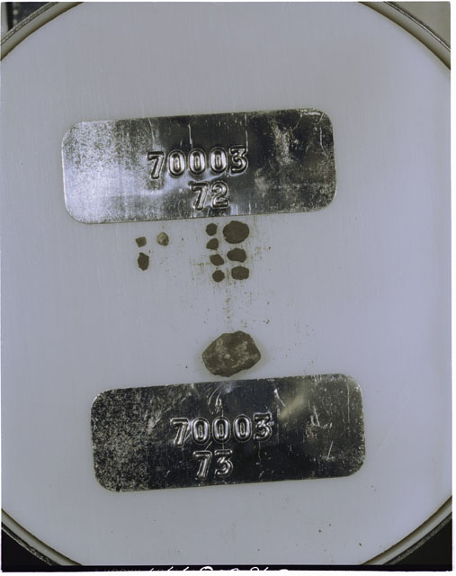 Color photograph of Apollo 17 Sample(s) 70003,72,73; Processing photograph displaying a group of >1 MM Core Fines found at 223.7-224.2 cm depth from surface.