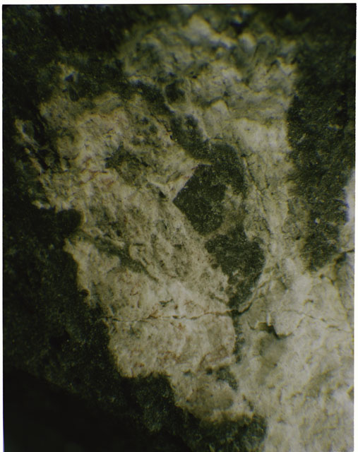 Micrograph Photograph of Apollo 15 Sample(s) 15445,160