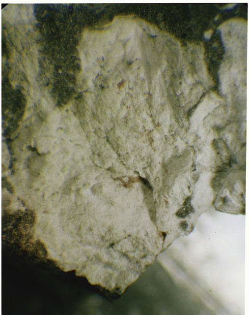 Micrograph Photograph of Apollo 15 Sample(s) 15445,160