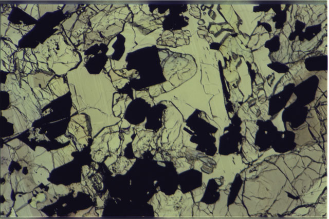 Color 2.7 MM Thin Section photograph of Apollo 17 Sample(s) 70017,125 using plane-polarized light.