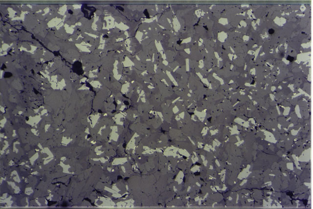 Color photograph of Apollo 11 Sample(s) 10017,20; Thin Section photograph using reflected light.