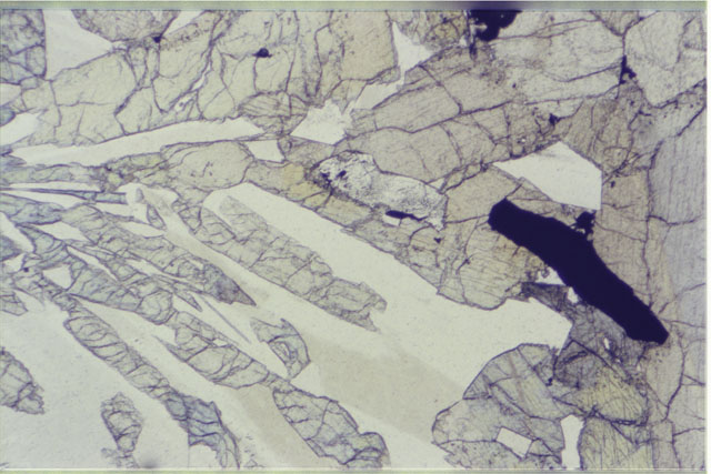 Color 2.7 MM Thin Section photograph of Apollo 12 Sample(s) 12039,6 using transmitted light.