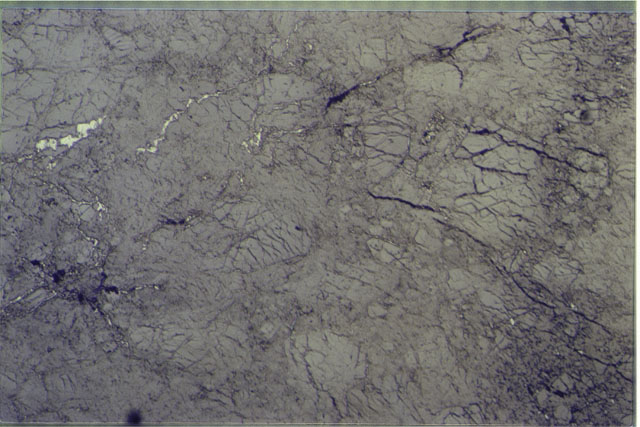 Color photograph of Apollo 16 Sample(s) 60025,21; 2.7 MM Thin Section photograph using reflection light.