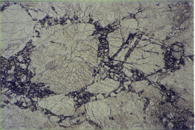 Color photograph of Apollo 16 Sample(s) 60025,21; 2.7 MM Thin Section photograph using plane-polarized light.