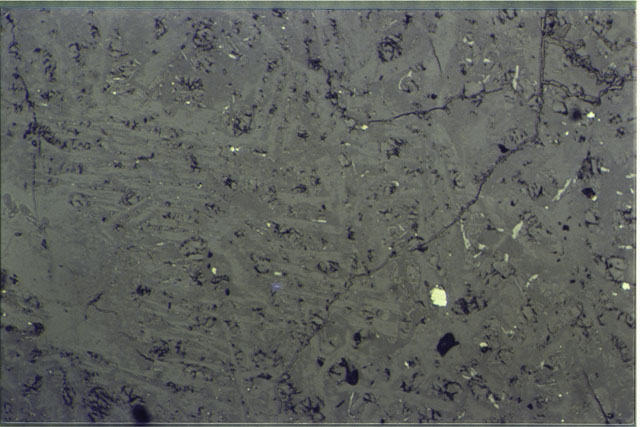 Color photograph of Apollo 16 Sample(s) 61016,220; 2.7 MM Thin Section photograph using reflected light.