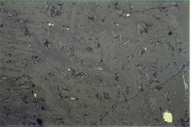 Color photograph of Apollo 16 Sample(s) 61016,220; 1.4 MM Thin Section photograph using reflected light.