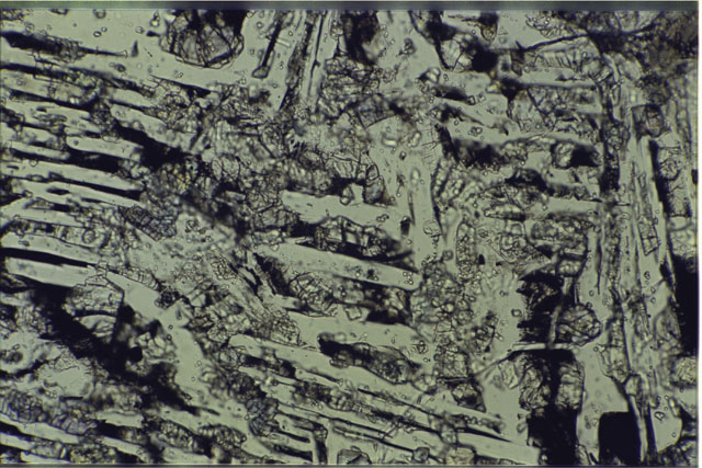 Color photograph of Apollo 16 Sample(s) 61016,220; 1.4 MM Thin Section photograph using transmitted light.